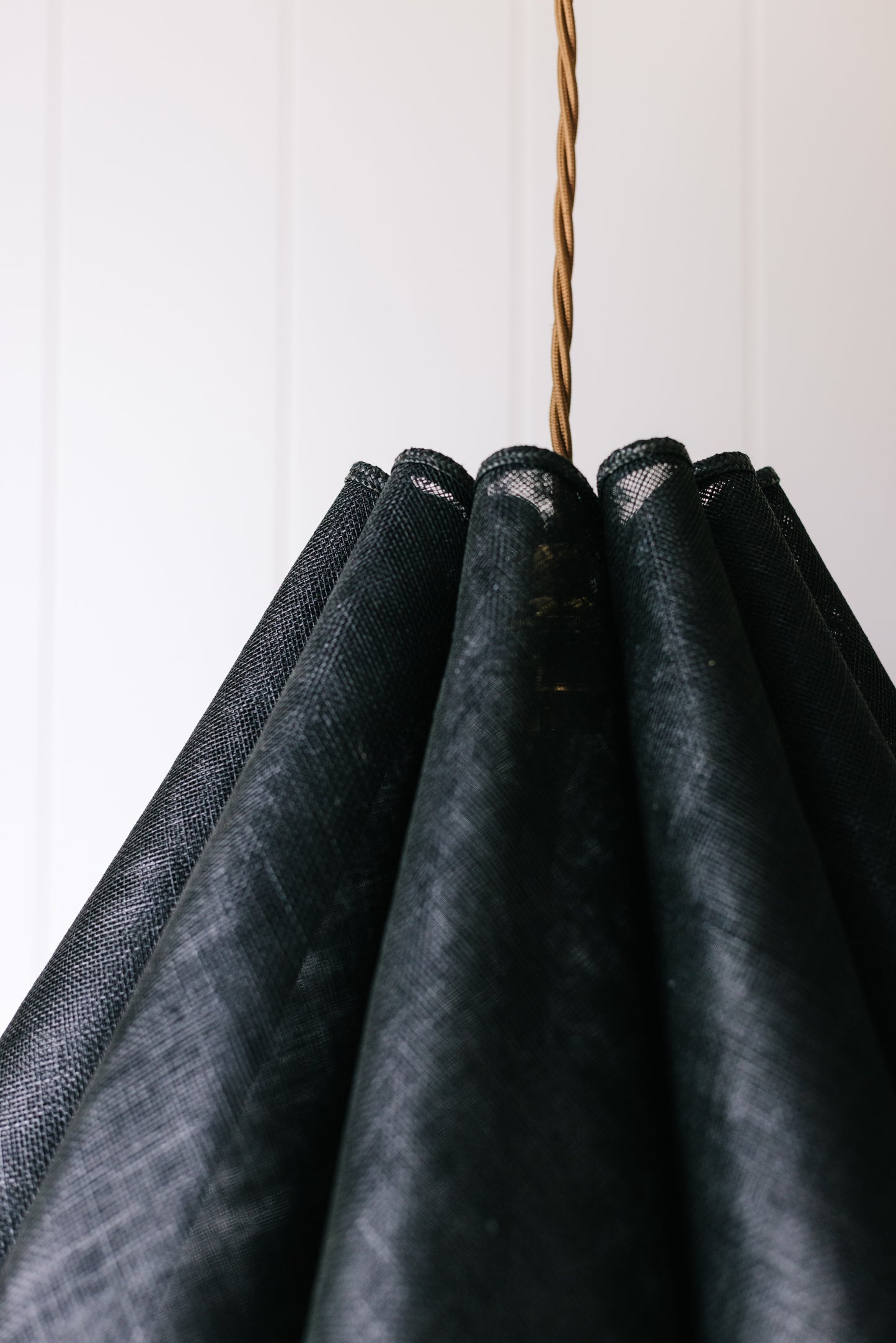 Large Bellis - Black